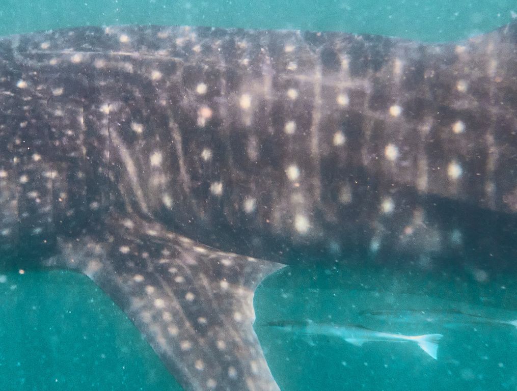 c50d8821-0db8-4699-8527-a8fba9348cd4