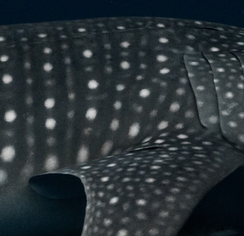 ca32b83d-a50e-4623-a23e-dd359f3f3acd