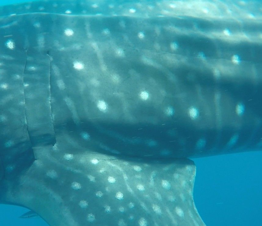 d3fd5ffd-82f3-401e-943f-7dfb1c308182