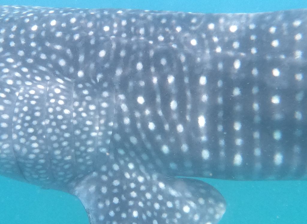 7b7ac326-f1fb-4ef4-875a-7a94248bf6e9