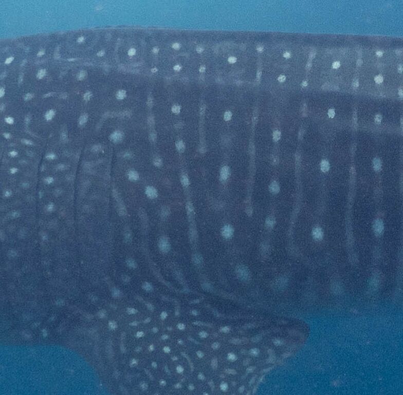 1c712fa3-2b4c-4b32-a024-7336d3ceeba0