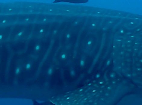 f8cb844f-6307-470d-8550-cba0a7ea93c3