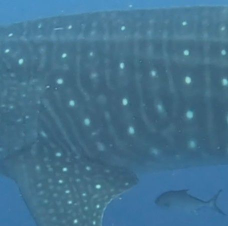 f8cb844f-6307-470d-8550-cba0a7ea93c3