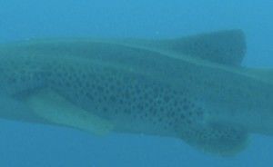 63866a4c-d3a7-4637-9b27-27d2b27f82d3