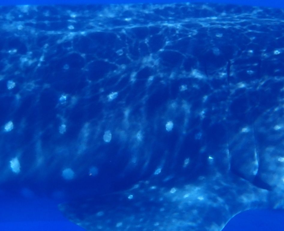 fd2ed153-d7a0-4f07-992f-e80e7d0fabd5