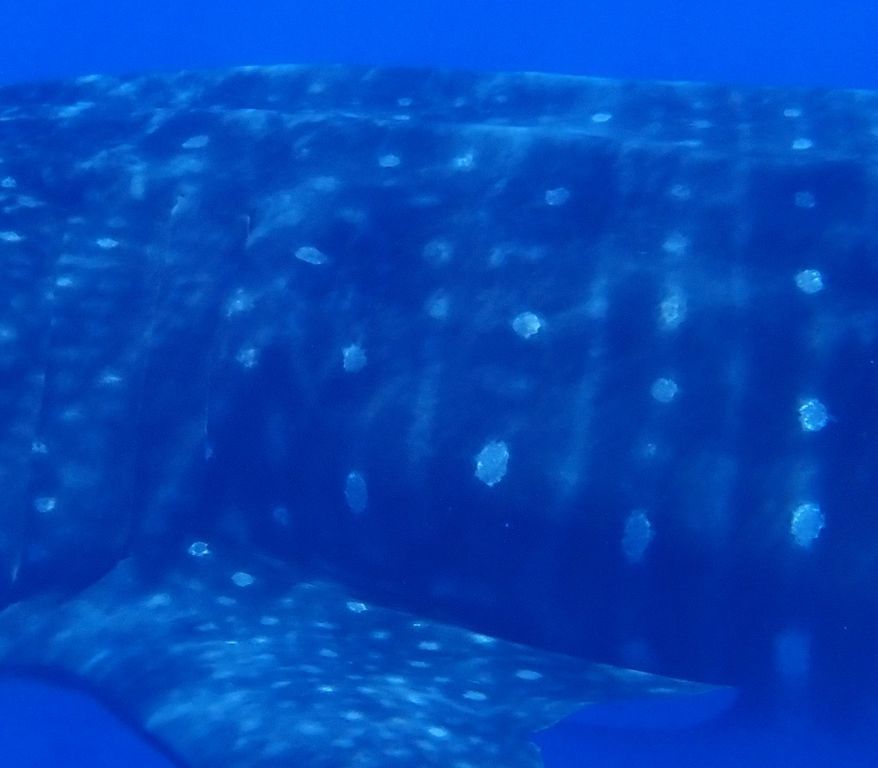 fd2ed153-d7a0-4f07-992f-e80e7d0fabd5