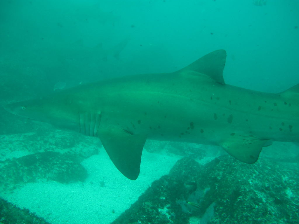 2d560c9f-3732-4759-96d0-7785cb3a1112