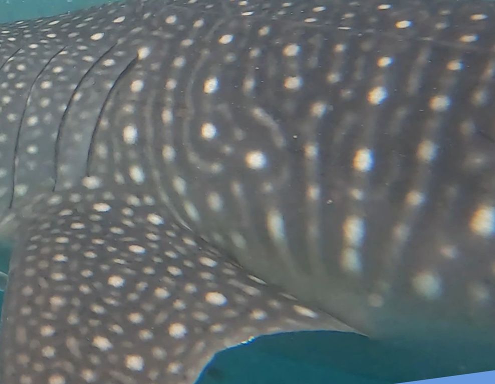 6a3d58f9-b30b-4997-a0be-0e6fce80ac64