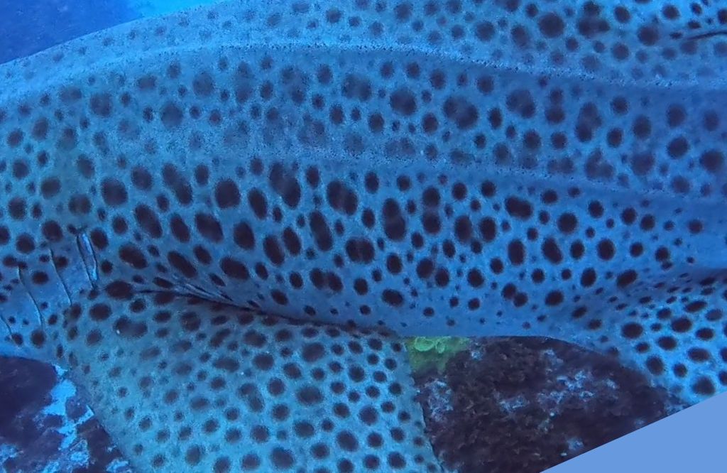 624da8cc-cffc-4a0d-b08a-4edbad309354