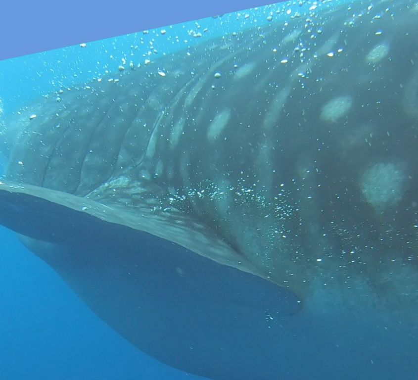 98b3194d-f238-44c5-aecf-fbdfc4724fd5