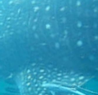 0782717c-c591-41ce-8713-088e3872c693