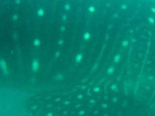 8f7d8453-ed18-4573-91cc-838e79dae1fb