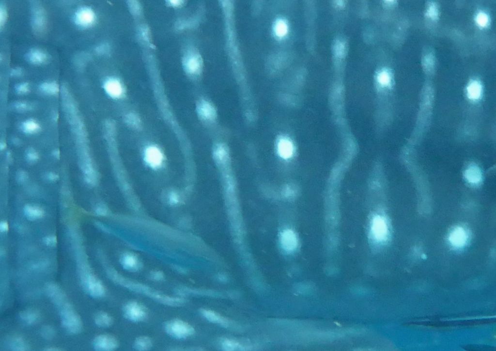 b9c3287f-492e-4c57-bea7-f55b41226f9b