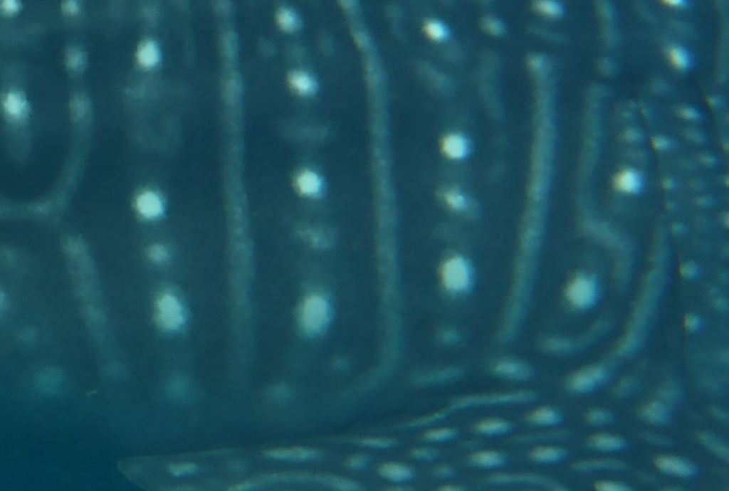 b9c3287f-492e-4c57-bea7-f55b41226f9b