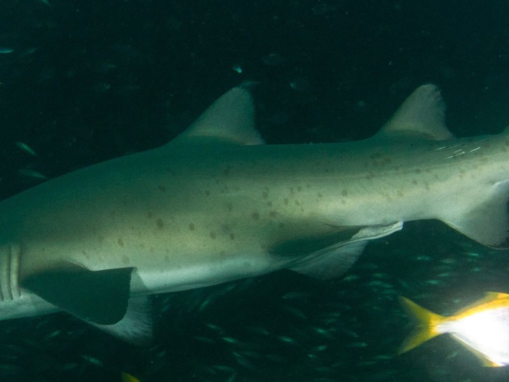 a04e3b3a-4e37-43f1-8851-b42894baff9a