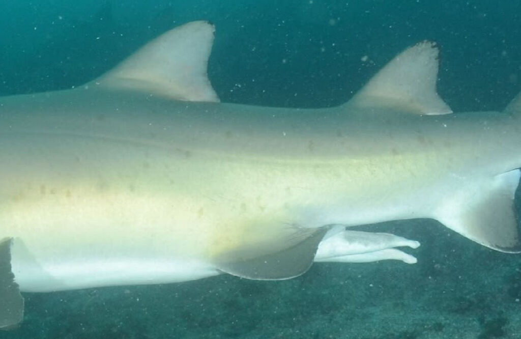 b95abcb5-97a3-4da4-9bcd-3a26cf884333