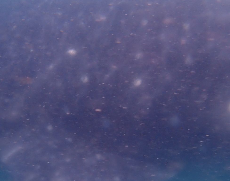 800405f5-f3e4-4f0c-97c1-e26841d7cf1e