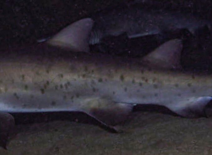 f930c6f3-cbb6-46c4-b44f-19af3b1eb0a5