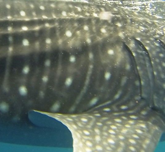 7e499fc8-356f-41a9-a3bc-b52d4b601dfa