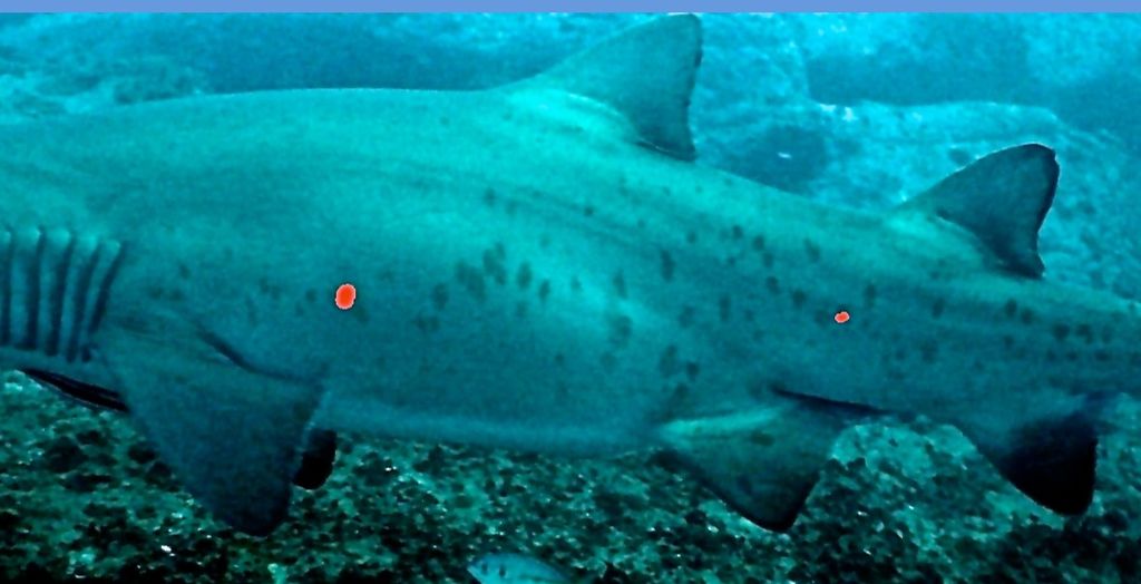 ec1a3f86-e15c-4e75-9806-feffa813edff