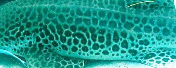 6aaf3901-bd04-4cf9-a606-86e2001a74f7