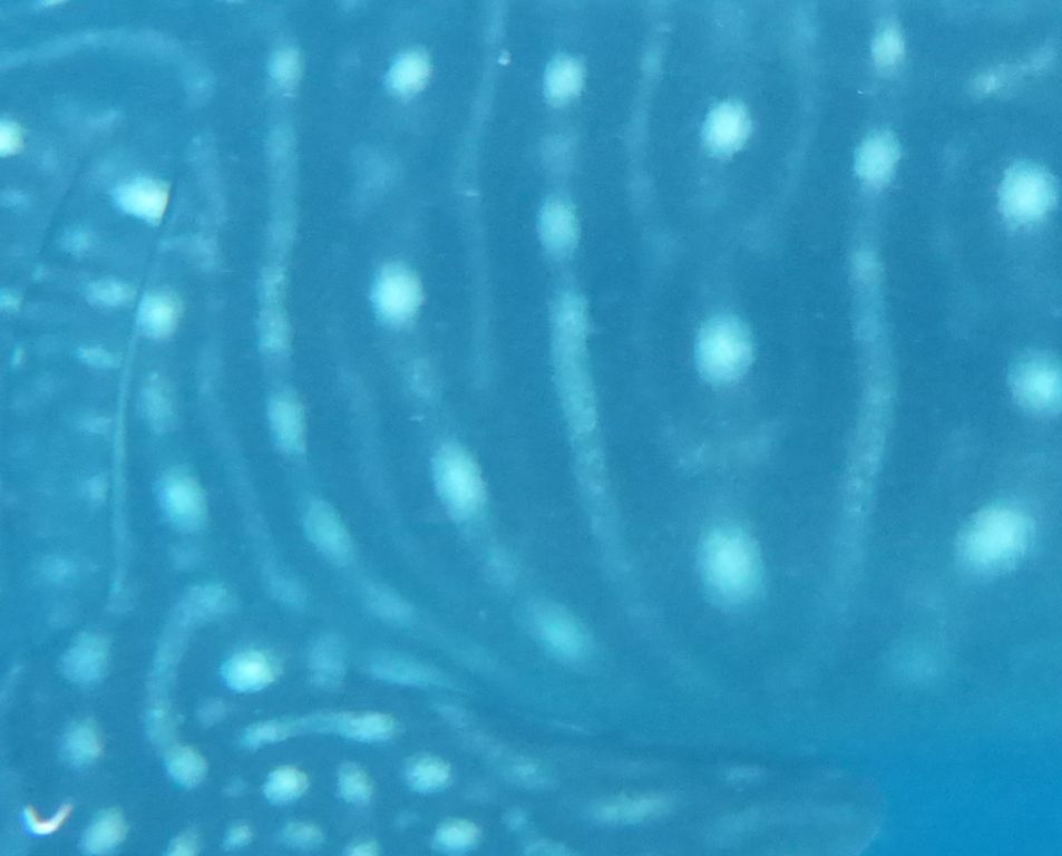 b47ad88d-076f-4e91-9693-5a167cd3aaf7