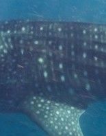 d2b48bdf-0358-43aa-88f9-0116b309cd23