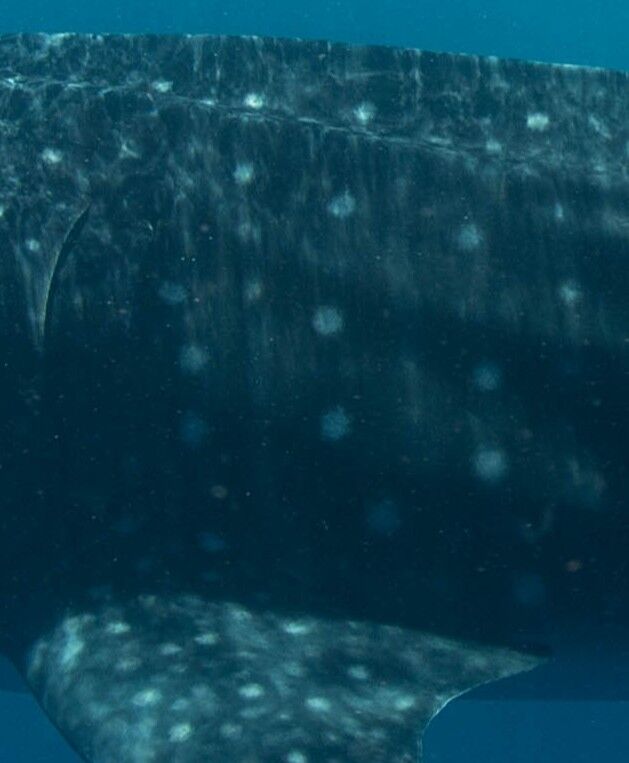 7dccdaa3-6b53-4442-9b26-57f3590d343e