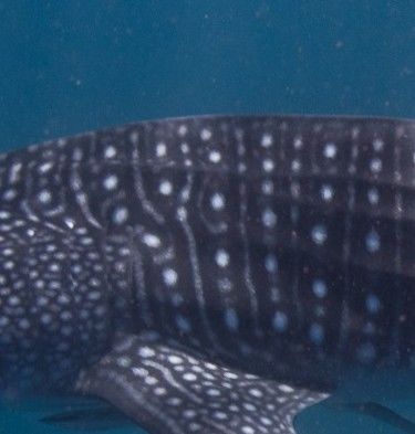 bf3a62dc-a892-414e-9870-affffd4b4d8a