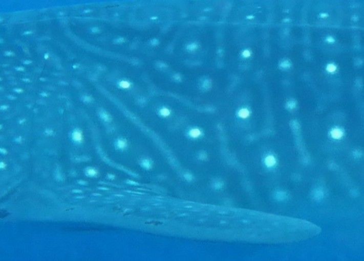 296d9af0-cb12-40c3-bc0f-903bdc877a07