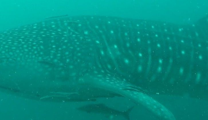 eb3d5765-497d-4186-a54b-60e0dda68152