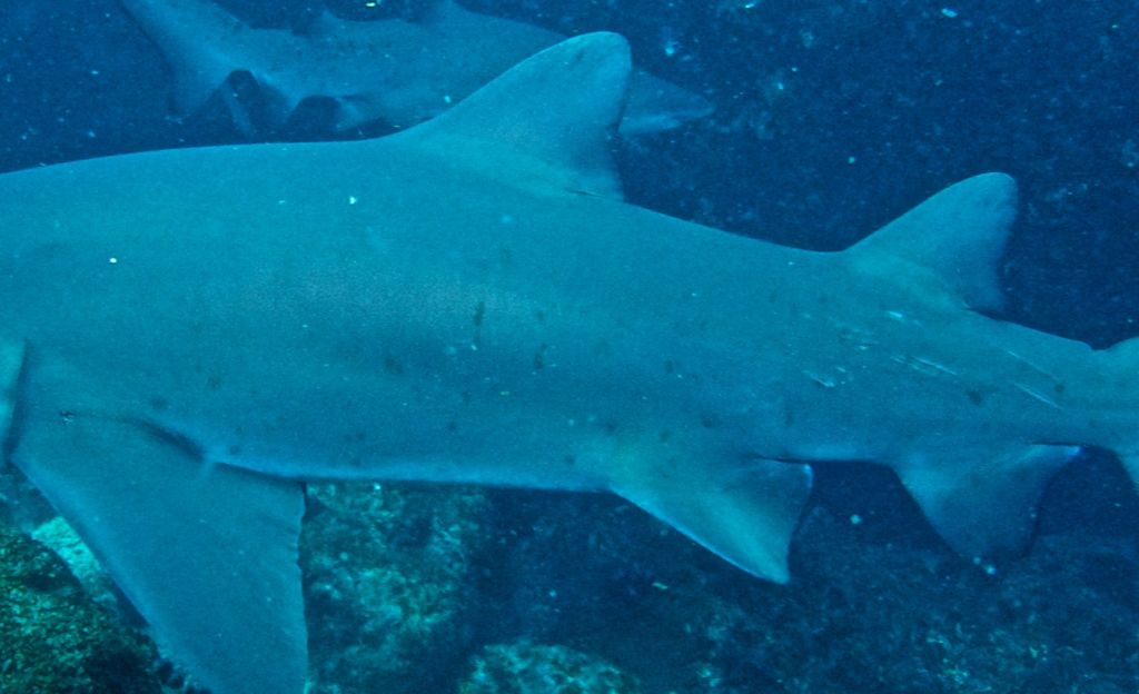 98ea9da4-b02e-4c3f-b858-2b3eddf6b156