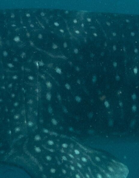 f5e52631-b895-495e-9e3f-41cfee01ed3b