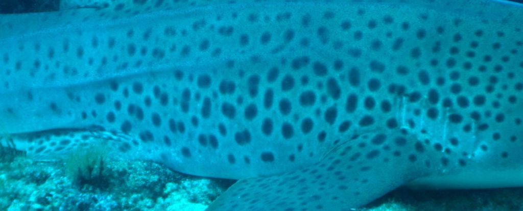 8e26bfbc-f304-49e6-a781-66233c596e78