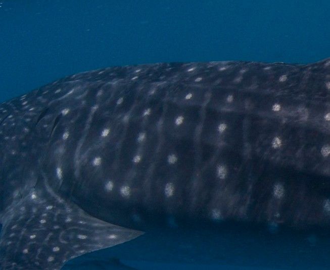 39b27fdf-9cc8-4df8-b4f1-55ecb7d21117