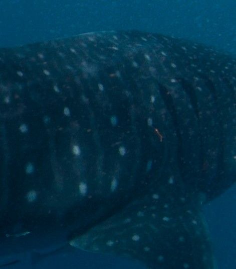 39b27fdf-9cc8-4df8-b4f1-55ecb7d21117