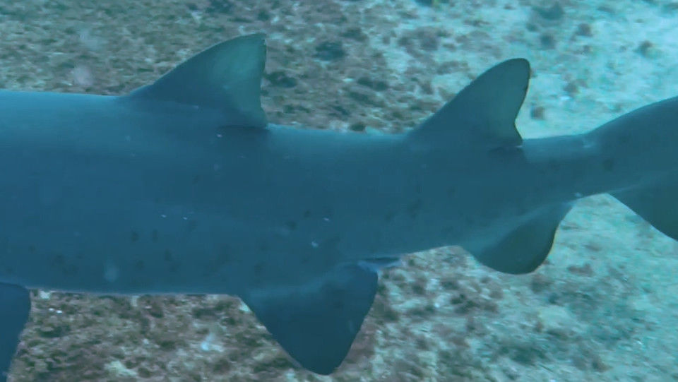 31d401b2-a609-4d69-9ebd-4c0628b4477e