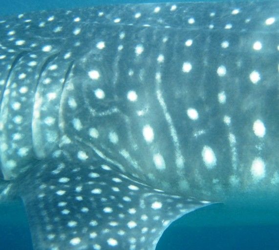 f19c9fce-7182-44cb-8db2-cb5695bb7ab7