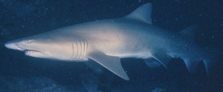 56915dc3-a9b8-47f8-9689-8847b06782d4