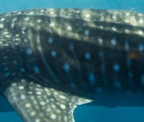 58f40b25-7269-4e8f-b6bf-8bd9a0629066