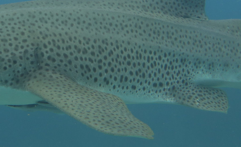 40057ba2-b1a4-4a0e-8320-99a4f87175da