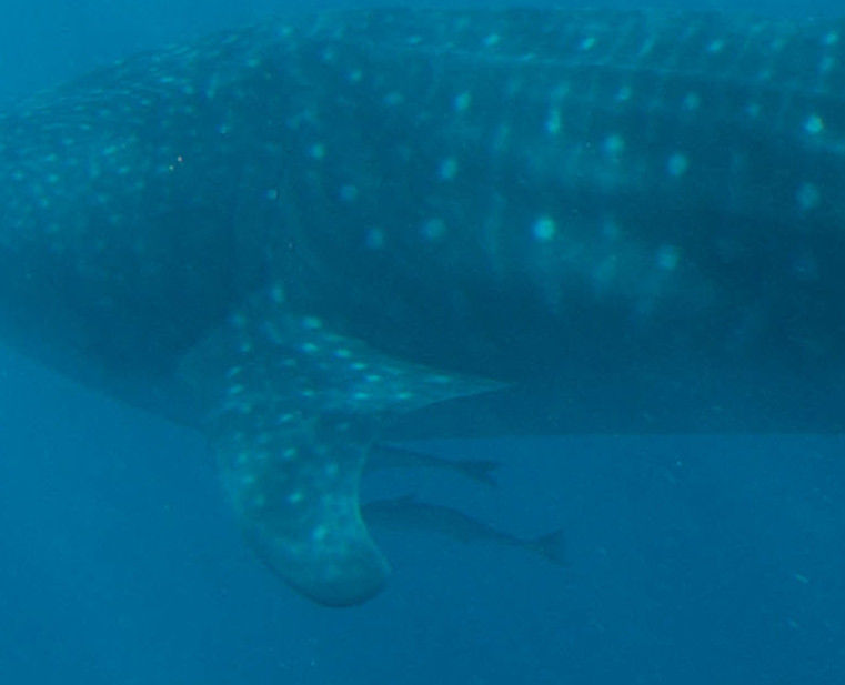 92eff3f7-ff19-4b74-af6c-c7b3f2650b27