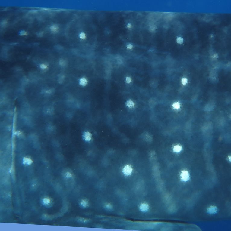 452b0aa7-c452-496c-b825-a70aaeaeb3e4