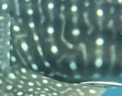 2d333152-e224-4acc-a43a-49cc3bb9357f