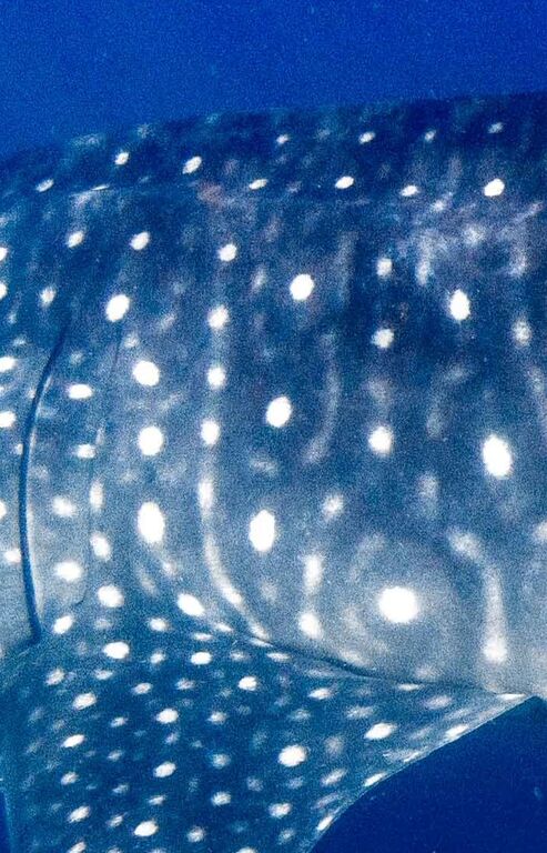 d8b0823d-5c56-47b4-9e70-736be28f9c32