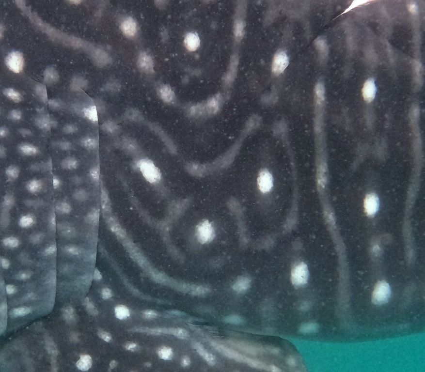 15e47ece-88f2-4fa8-bf78-d6d995e955ba