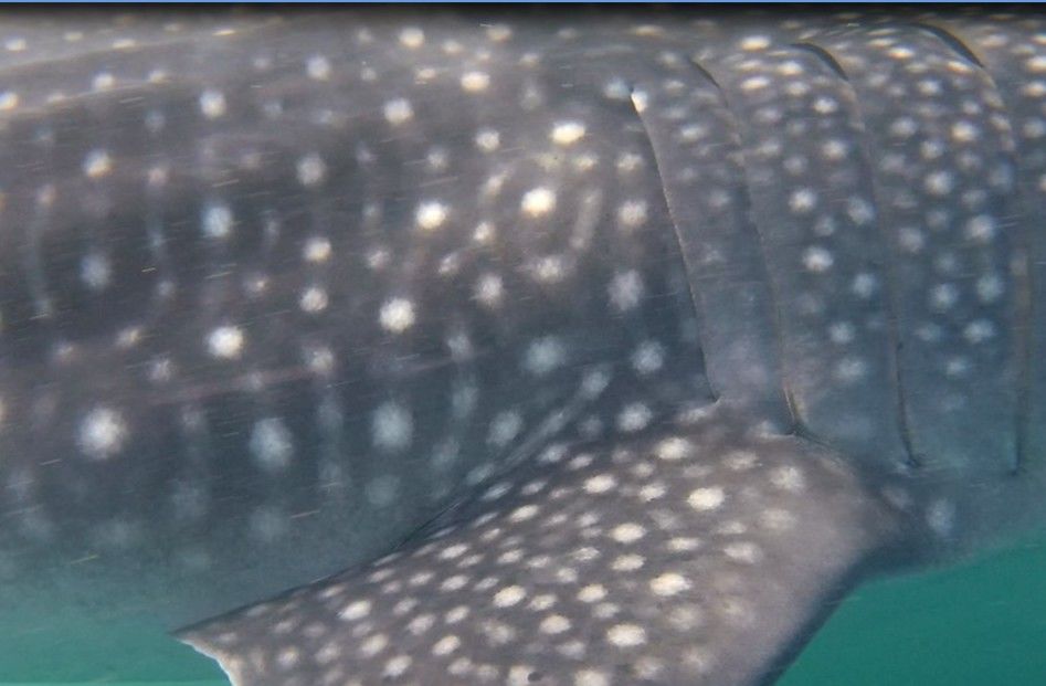 1dddcc69-aef3-4c58-a012-dab308fb817c