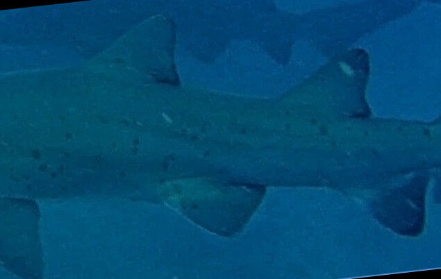 639ce012-020a-4eed-9fe6-807d4d3a05f1