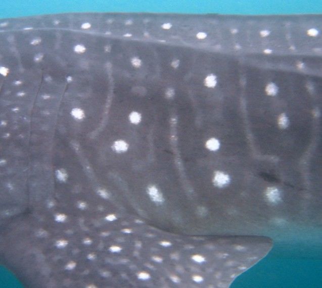 22f86a84-af08-4a59-9479-27e3ad89041a