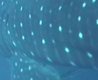 d63e3c06-3074-46be-a6fa-389c68a8b044